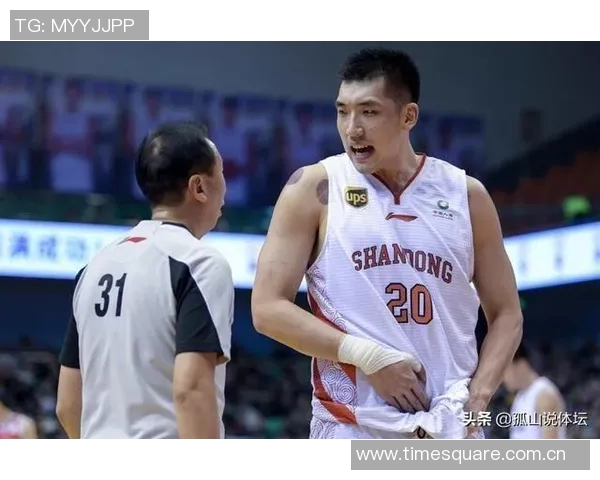 陶汉林:从篮球场上的拼搏者到社会公益的积极推动者的华丽转身 陶汉林:从篮球场上的拼搏者到社会公益的积极推动者的华丽转身