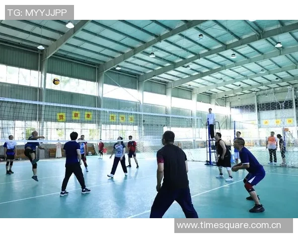 王伟专访：深入探讨排球生涯与未来发展之路