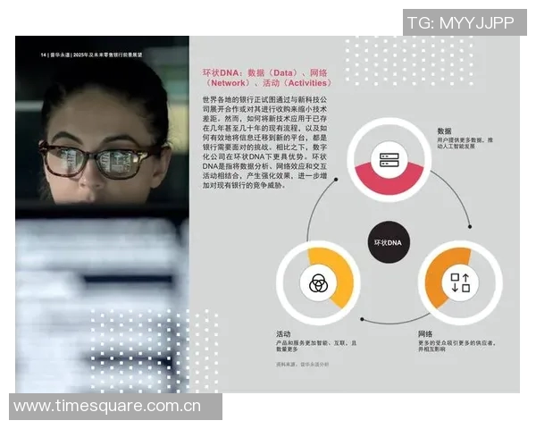 南京篮球队的转型之路与未来发展趋势深度解析