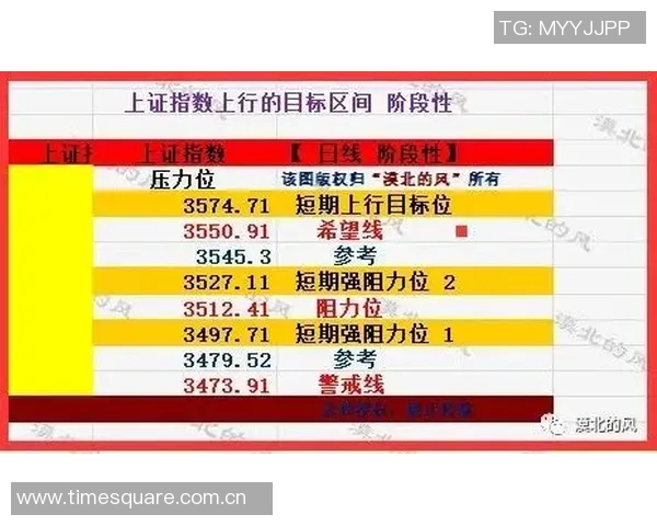 全运会特别报道：西安排球队转型之路的挑战与机遇分析