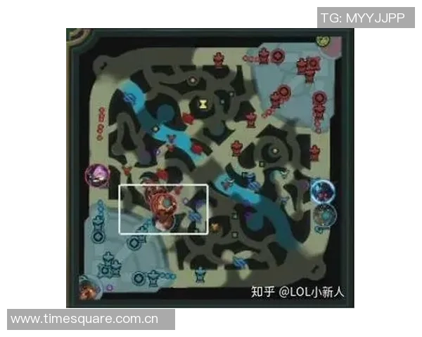 赛后复盘分析EDG与TES对决中的战术运用与团队协作经验分享